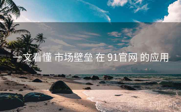 一文看懂 市场壁垒 在 91官网 的应用 第2张 一文看懂 市场壁垒 在 91官网 的应用 第2张