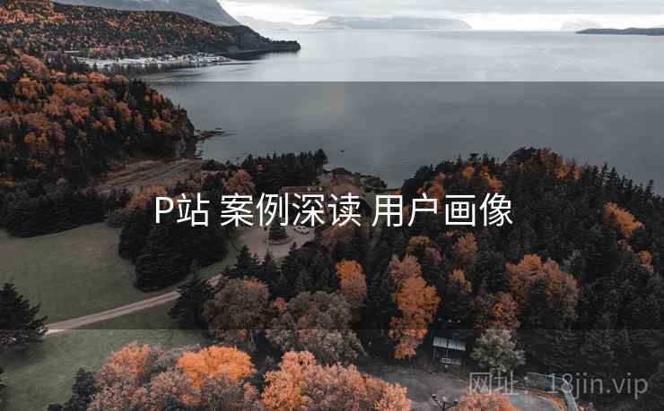 P站 案例深读 用户画像 第2张 P站 案例深读 用户画像 第2张