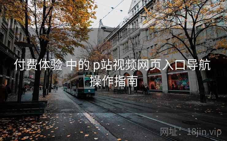 付费体验 中的 p站视频网页入口导航 操作指南 第2张 付费体验 中的 p站视频网页入口导航 操作指南 第2张