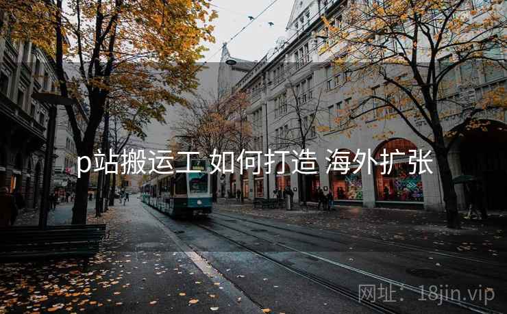 p站搬运工 如何打造 海外扩张  第1张