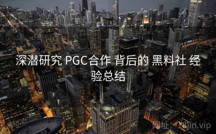 深潜研究 PGC合作 背后的 黑料社 经验总结 第2张 深潜研究 PGC合作 背后的 黑料社 经验总结 第2张